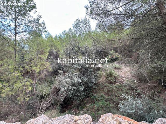 Local Comercial en venta en el Comtat, Valencia