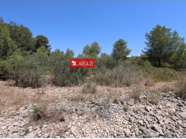 Local Comercial en venta en Urbanització Vistacalderona, el Camp de Túria
