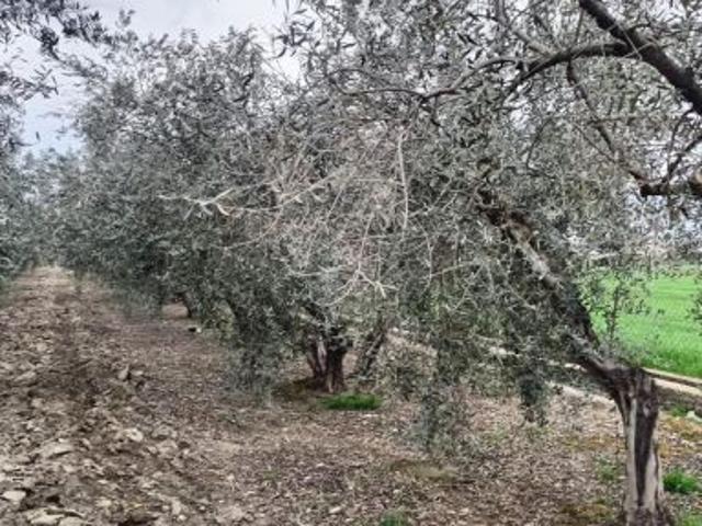 Local Comercial en venta en Comarca de la Vega de Granada, Andalucía