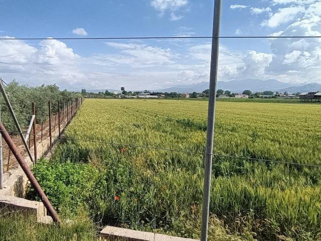 Terreno en venta en Comarca de la Vega de Granada, Andalucía