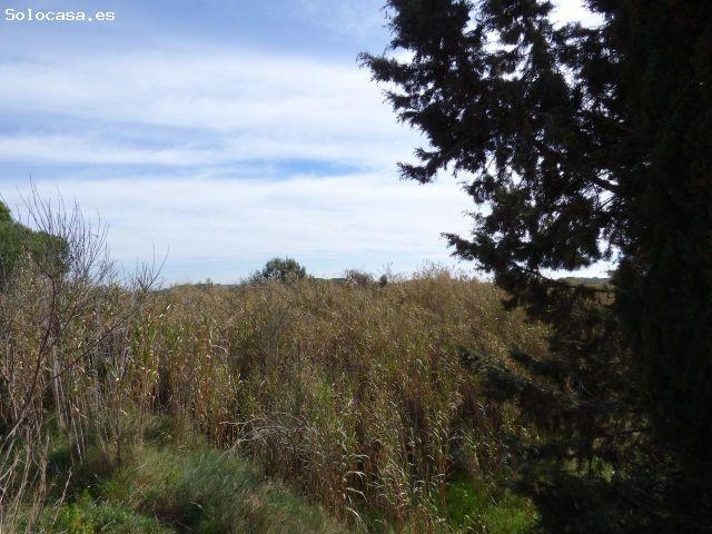 Local Comercial en venta en Maresme, Catalunya