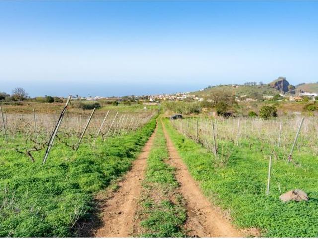 Local Comercial en venta en El Cantillo, Tacoronte