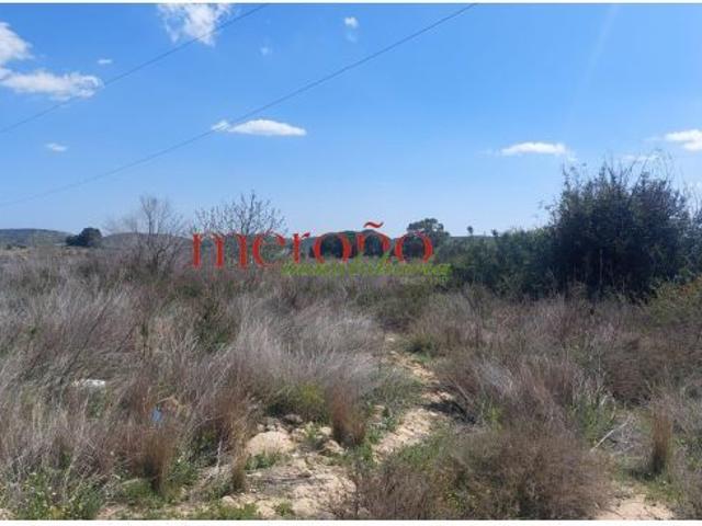 Local Comercial en venta en el Bacarot, l'Alacantí