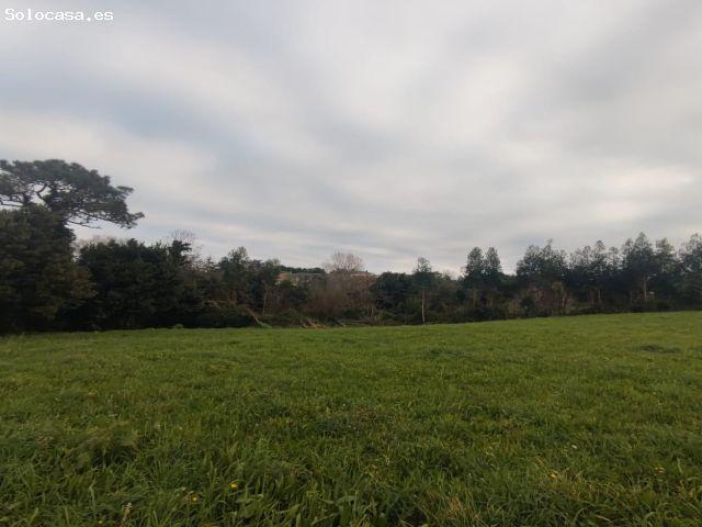 Local Comercial en venta en Tapia De Casariego, Asturias