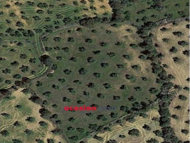 Local Comercial en venta en La Granjuela, Andalucía