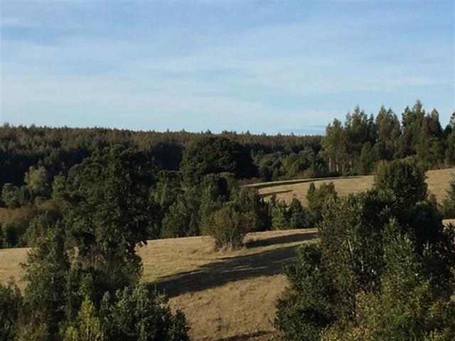 Casa en venta en Fresia, Los Lagos