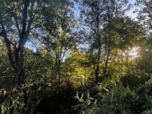Terreno en venta en San Clemente, Maule
