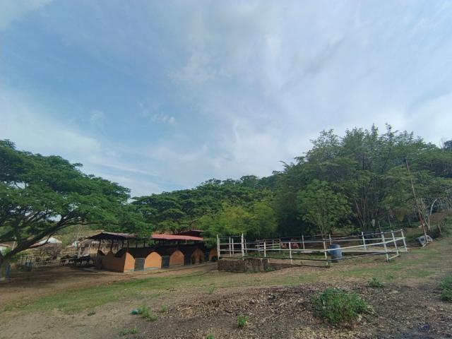 Terreno en venta en Tocuyito, Carabobo