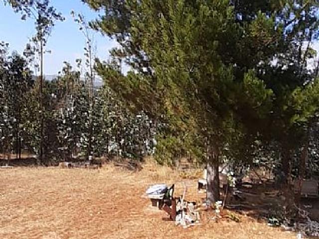 PARCELA CON CASA EN PAREDONES