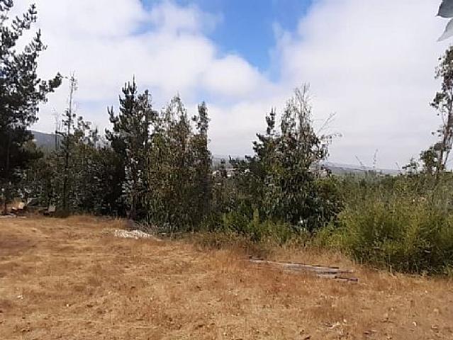 PARCELA CON CASA EN PAREDONES