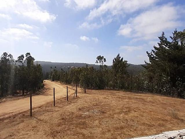 PARCELA CON CASA EN PAREDONES