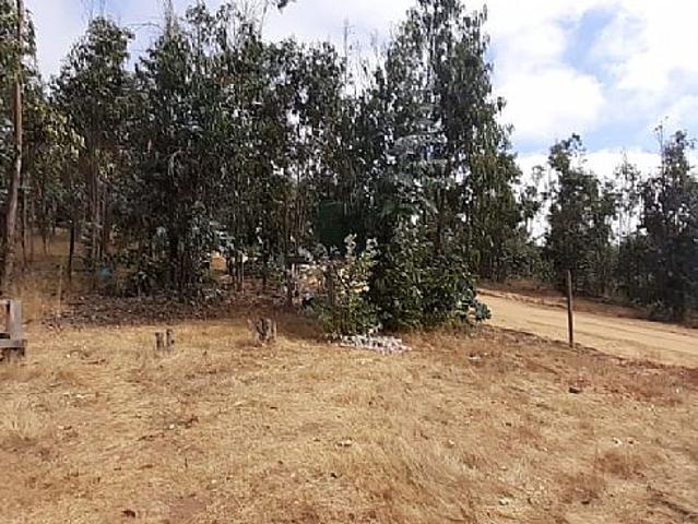 PARCELA CON CASA EN PAREDONES