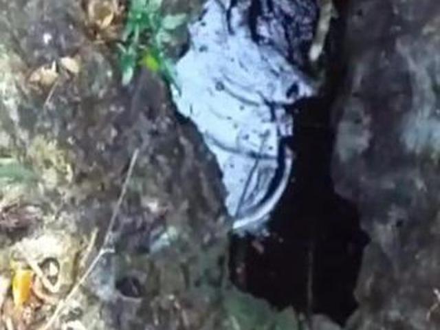 PARCELA CON CENOTE EN FELIPE CARRILLO PUERTO