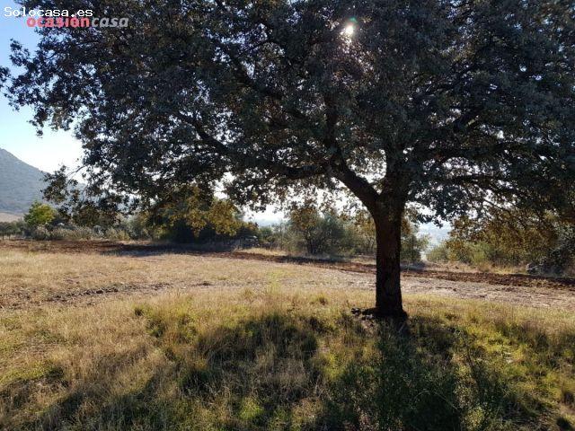 Casa en venta en Santa Eufemia