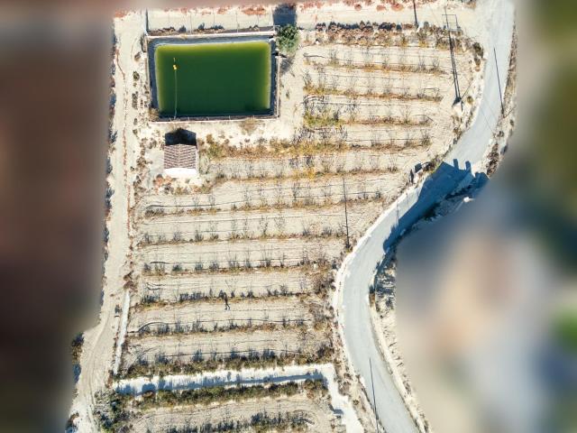 Terreno en venta en Vega Alta del Segura, Murcia
