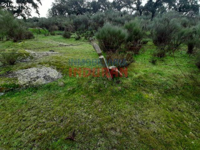 Local Comercial en venta en Millanes, Extremadura