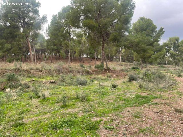 Local Comercial en venta en La Alberca, Área Metropolitana de Murcia