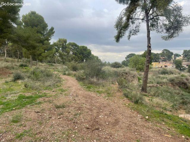Local Comercial en venta en La Alberca, Área Metropolitana de Murcia