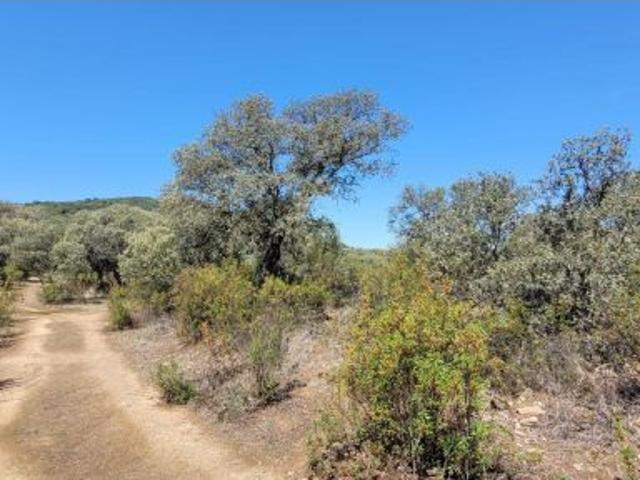 Local Comercial en venta en Villanueva Del Duque, Andalucía