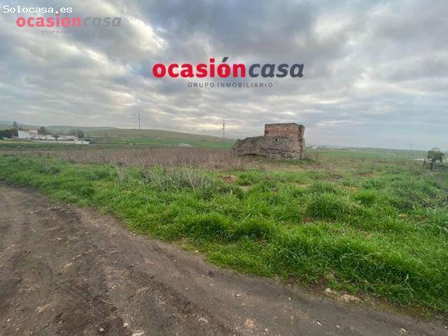 Local Comercial en venta en Belmez, Andalucía