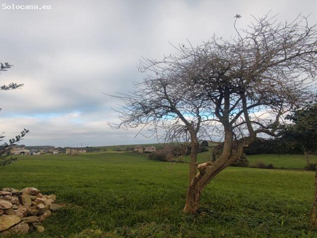 Local Comercial en venta en Tapia De Casariego, Asturias