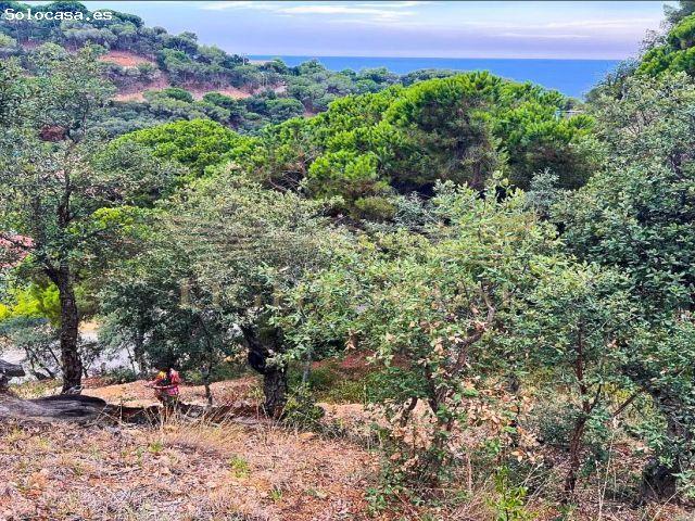 Local Comercial en venta en Canyelles, la Selva