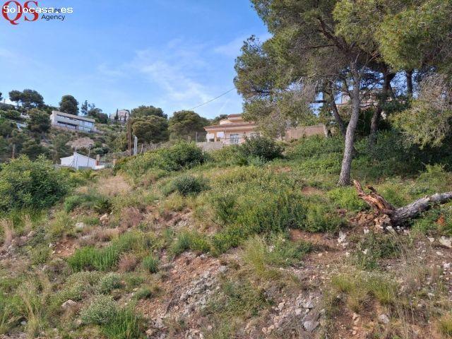 Local Comercial en venta en Baix Penedès, Catalunya