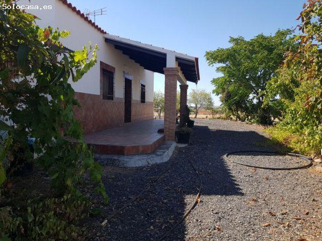 Casa en venta en Hinojosa Del Duque Casa en venta en Hinojosa Del Duque