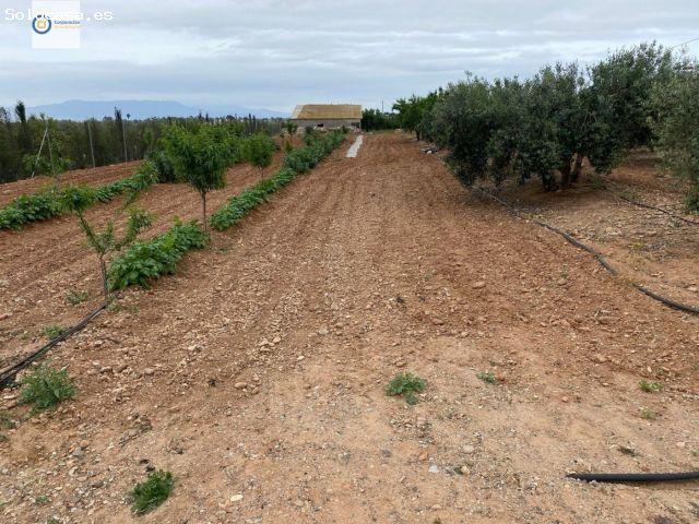 Local Comercial en venta en La Alcanara y Los Bucanos, Alto Guadalentín