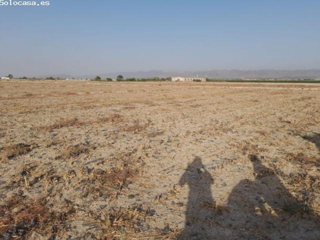 Local Comercial en venta en Urbanización Torre del Obispo, Alto Guadalentín