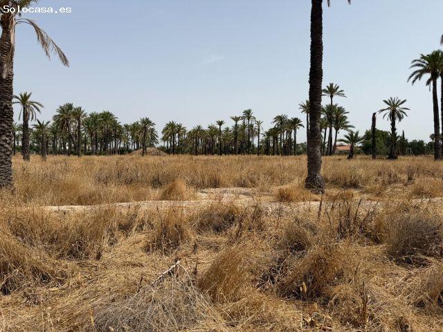 Local Comercial en venta en Algorós, el Baix Vinalopó