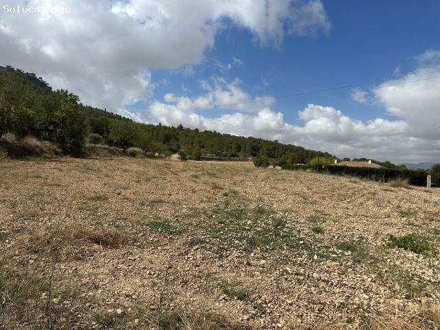 Local Comercial en venta en Cases del Senyor, el Vinalopó Mitjà / El Vinalopó Medio