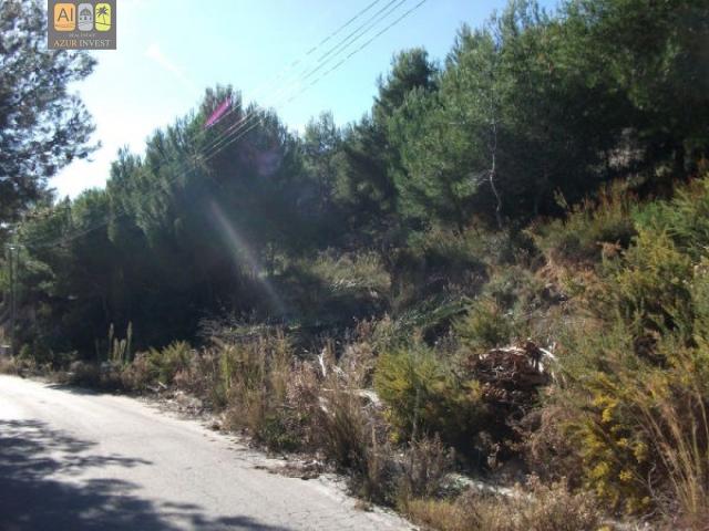 Terreno en venta en la Marina Baixa, Valencia