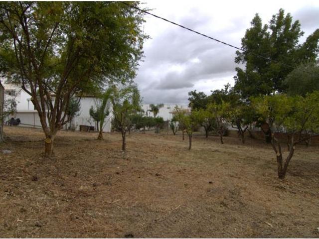 Casa en venta en Sierra de las Nieves, Andalucía