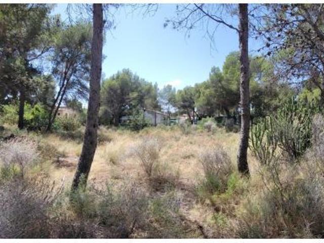 Local Comercial en venta en el Camp de Túria, Valencia