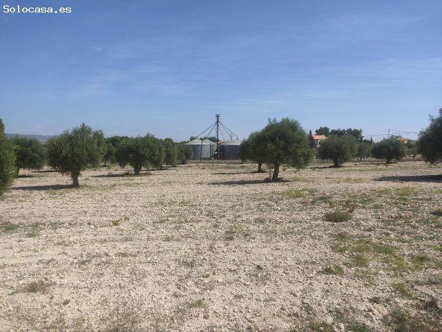 Local Comercial en venta en Almansa, Castilla-La Mancha