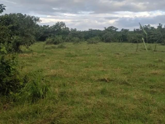 Terreno venta en San Félix