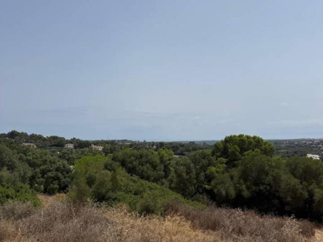 Terreno en venta en Pueblo Nuevo, Campo de Gibraltar
