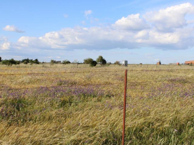Terreno en venta en Cáceres - Sierra de Montánchez, Extremadura