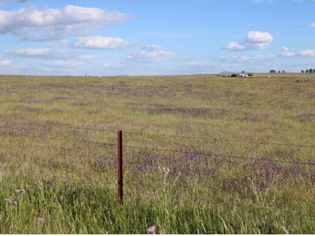Local Comercial en venta en Cáceres - Sierra de Montánchez, Extremadura