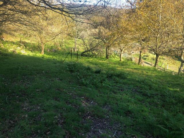 Terreno en venta en Peitieiros, Vigo