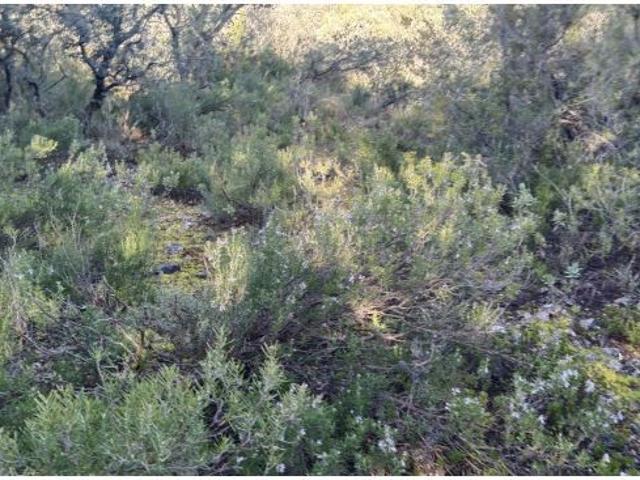 Local Comercial en venta en Nueva Sierra de Altomira, Albalate De Zorita