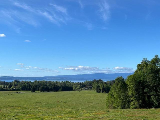 Terreno en venta en Lago Ranco, Los Ríos
