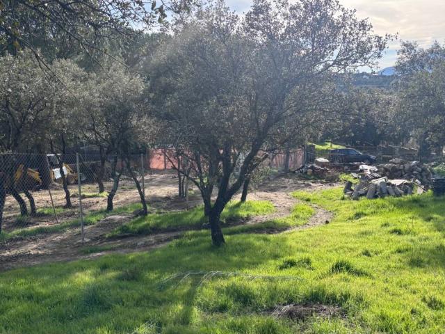 Terreno en venta en Alpedrete, Madrid