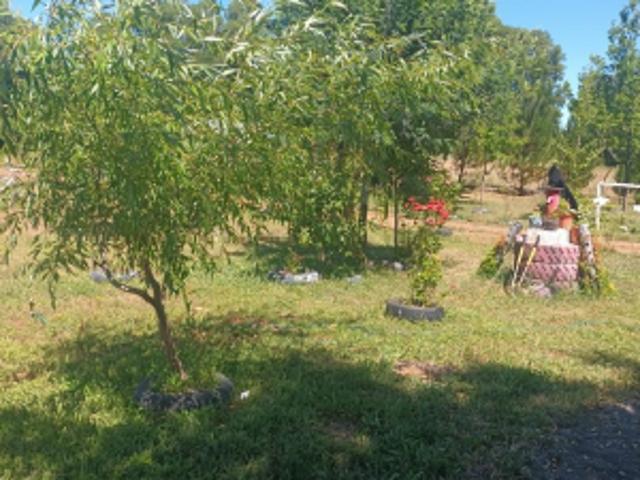 Parcela de Agrado en Venta en Cabrero