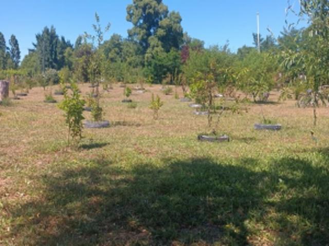 Parcela de Agrado en Venta en Cabrero