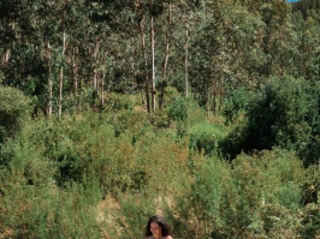 Parcela de Agrado en Venta en Cauquenes