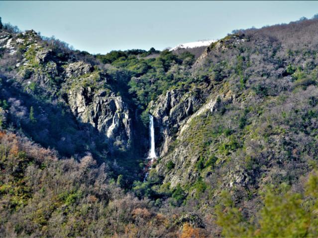 Parcela de Agrado en Venta en Parral