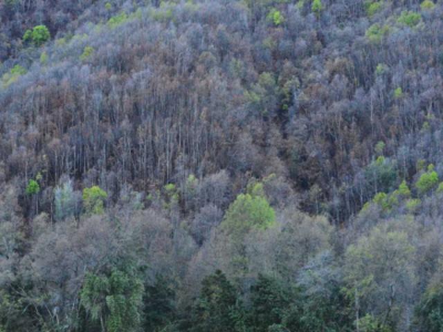 Parcela de Agrado en Venta en Parral