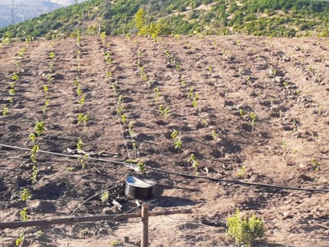 Parcela de Agrado en Venta en San Javier
